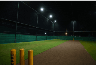 Cricket Lawn
