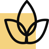 Fine Dining & Dalaan